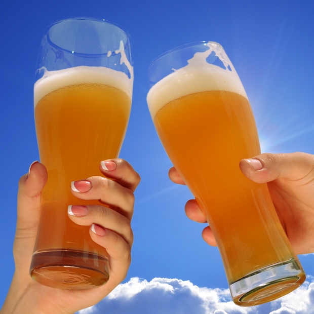 Système de filtrage de la bière (10) - La Boutique du vin et l'Art de la  bière
